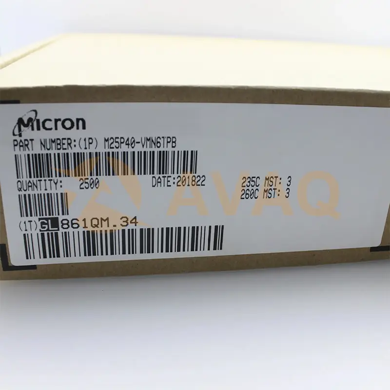 MICRON Inventory